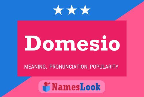 Domesio Name Poster