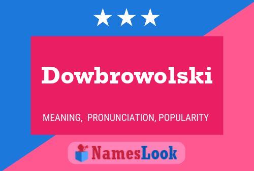 Dowbrowolski Name Poster