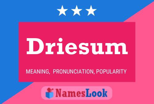 Driesum Name Poster