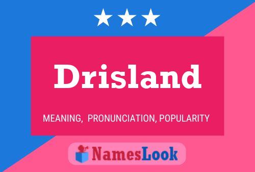 Drisland Name Poster