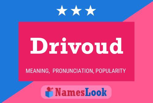 Drivoud Name Poster