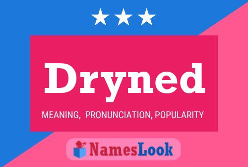 Dryned Name Poster