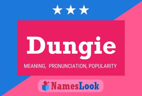 Dungie Name Poster