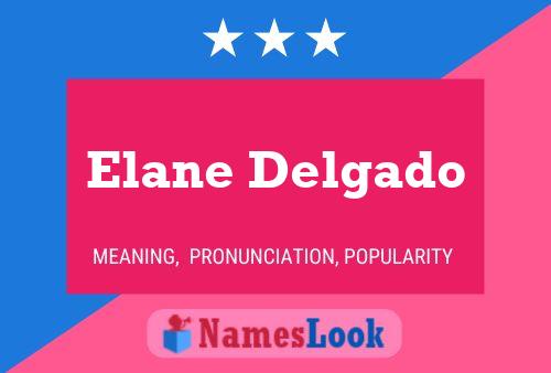 Elane Delgado Name Poster