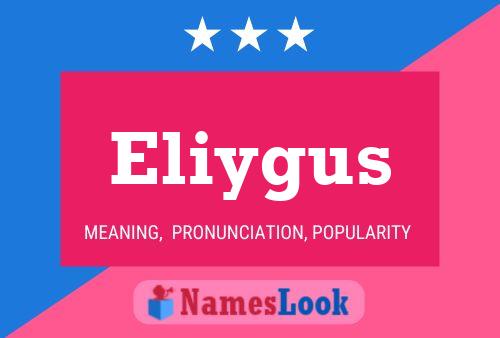 Eliygus Name Poster