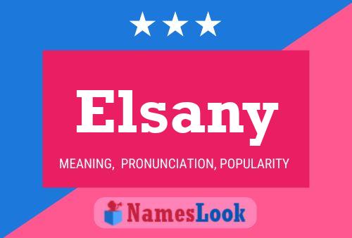 Elsany Name Poster