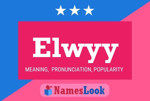 Elwyy Name Poster