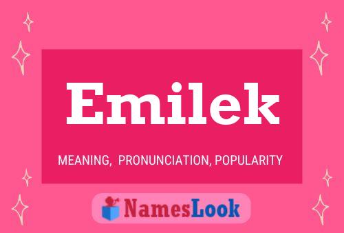 Emilek Meaning, Pronunciation, Origin and Numerology | NamesLook