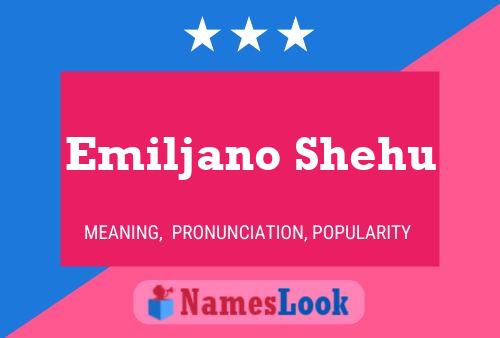 Emiljano Shehu Name Poster