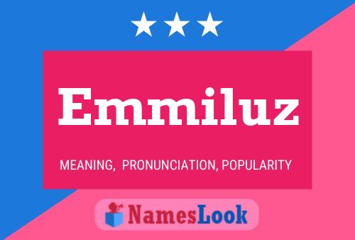 Emmiluz Name Poster