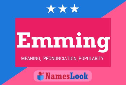 Emming Name Poster