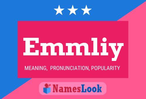 Emmliy Name Poster