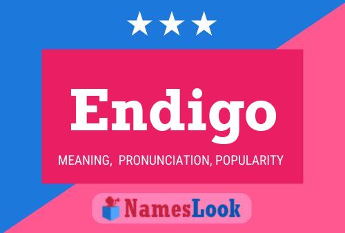 Endigo Name Poster