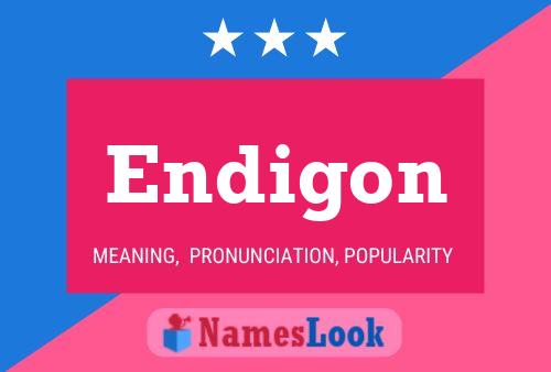 Endigon Name Poster