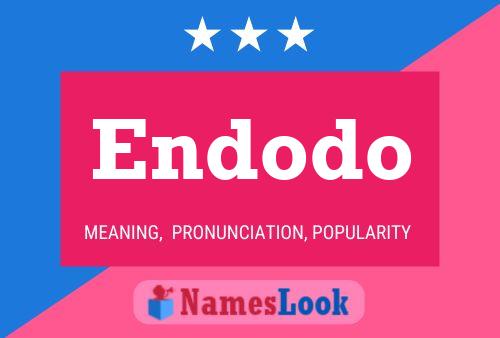 Endodo Name Poster