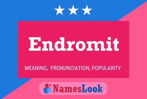 Endromit Name Poster