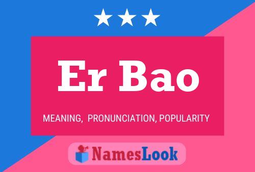 Er Bao Name Poster