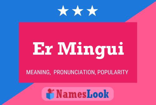 Er Mingui Name Poster