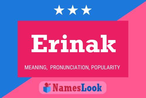 Erinak Name Poster