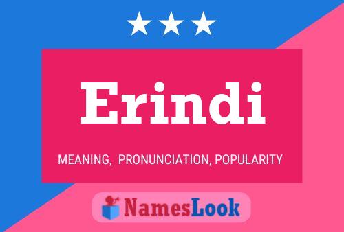 Erindi Name Poster