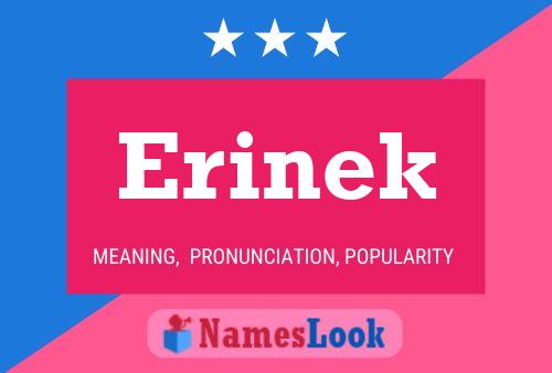 Erinek Name Poster