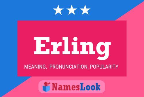 Erling Name Poster