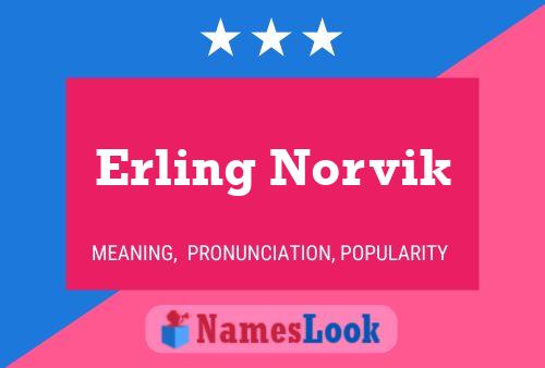 Erling Norvik Name Poster