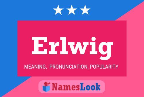 Erlwig Name Poster