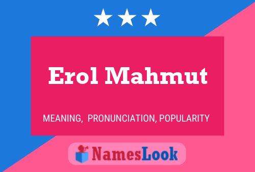 Erol Mahmut Name Poster