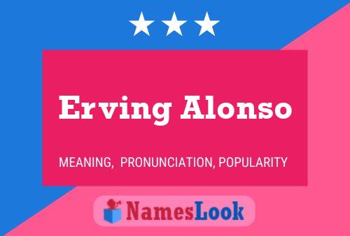 Erving Alonso Name Poster