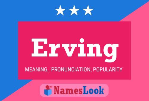 Erving Name Poster