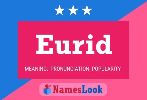 Eurid Name Poster