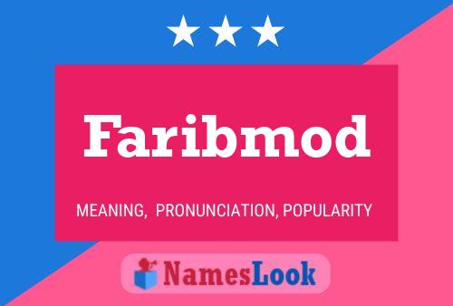 Faribmod Name Poster