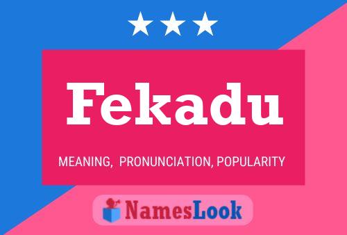 Fekadu Name Poster