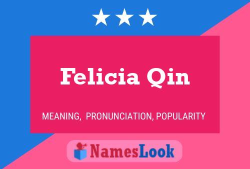 Felicia Qin Name Poster