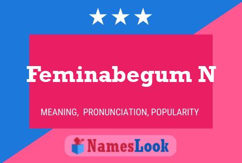 Feminabegum N Name Poster