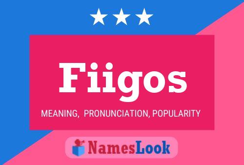 Fiigos Name Poster