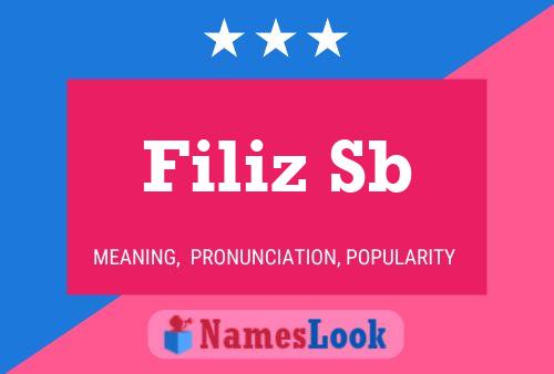 Filiz Sb Name Poster