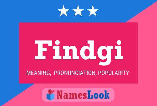 Findgi Name Poster