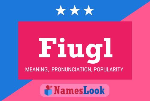 Fiugl Name Poster