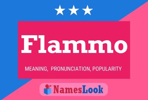 Flammo Name Poster