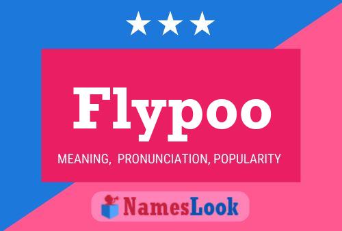 Flypoo Name Poster