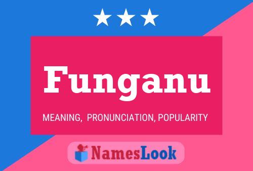 Funganu Name Poster