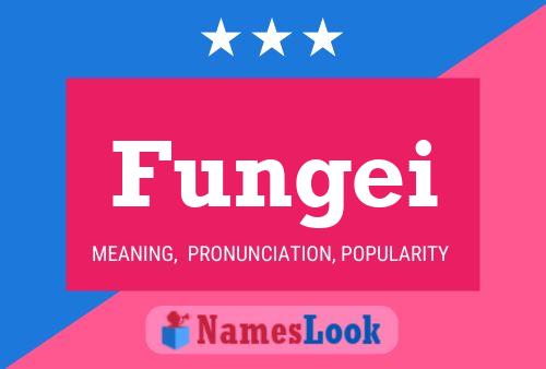 Fungei Name Poster