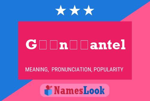 Ganssmantel Meaning Pronunciation Origin And Numerology Nameslook