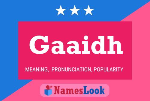 Gaaidh Name Poster