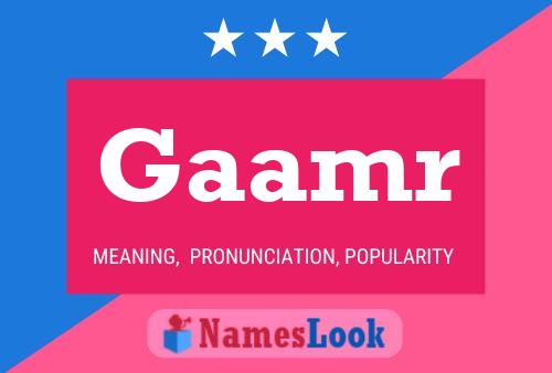 Gaamr Name Poster