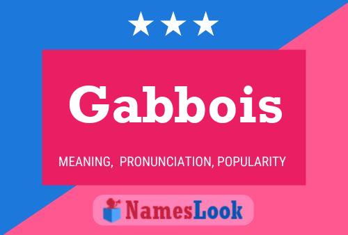 Gabbois Name Poster