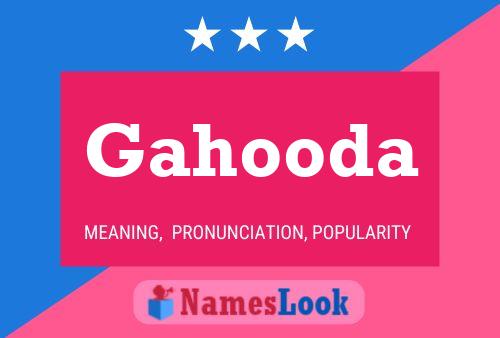 Gahooda Name Poster