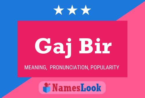 Gaj Bir Name Poster